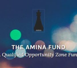 The Amina Fund